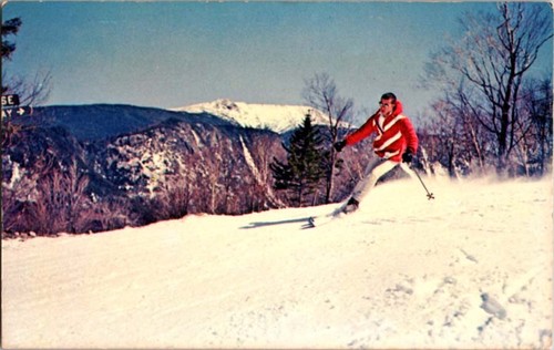 North conway postcard skier - postcard,